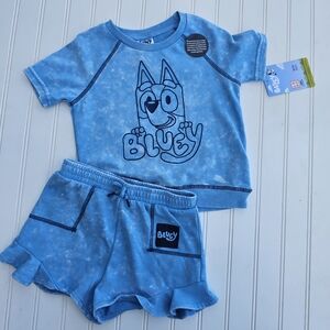 NEW Bluey Kids' Blue Tie-Dye T-Shirt and Shorts Set 2T